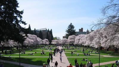 University of Washington's quad is shown in spring